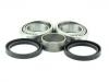 ремкомплект подшипники Wheel Bearing Rep. kit:542350077