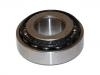 Radlager Wheel Bearing:211 501 283 D