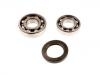 Juego, rodamiento rueda Wheel Bearing Rep. kit:VKBA 887