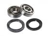 Juego, rodamiento rueda Wheel Bearing Rep. kit:7999-23040